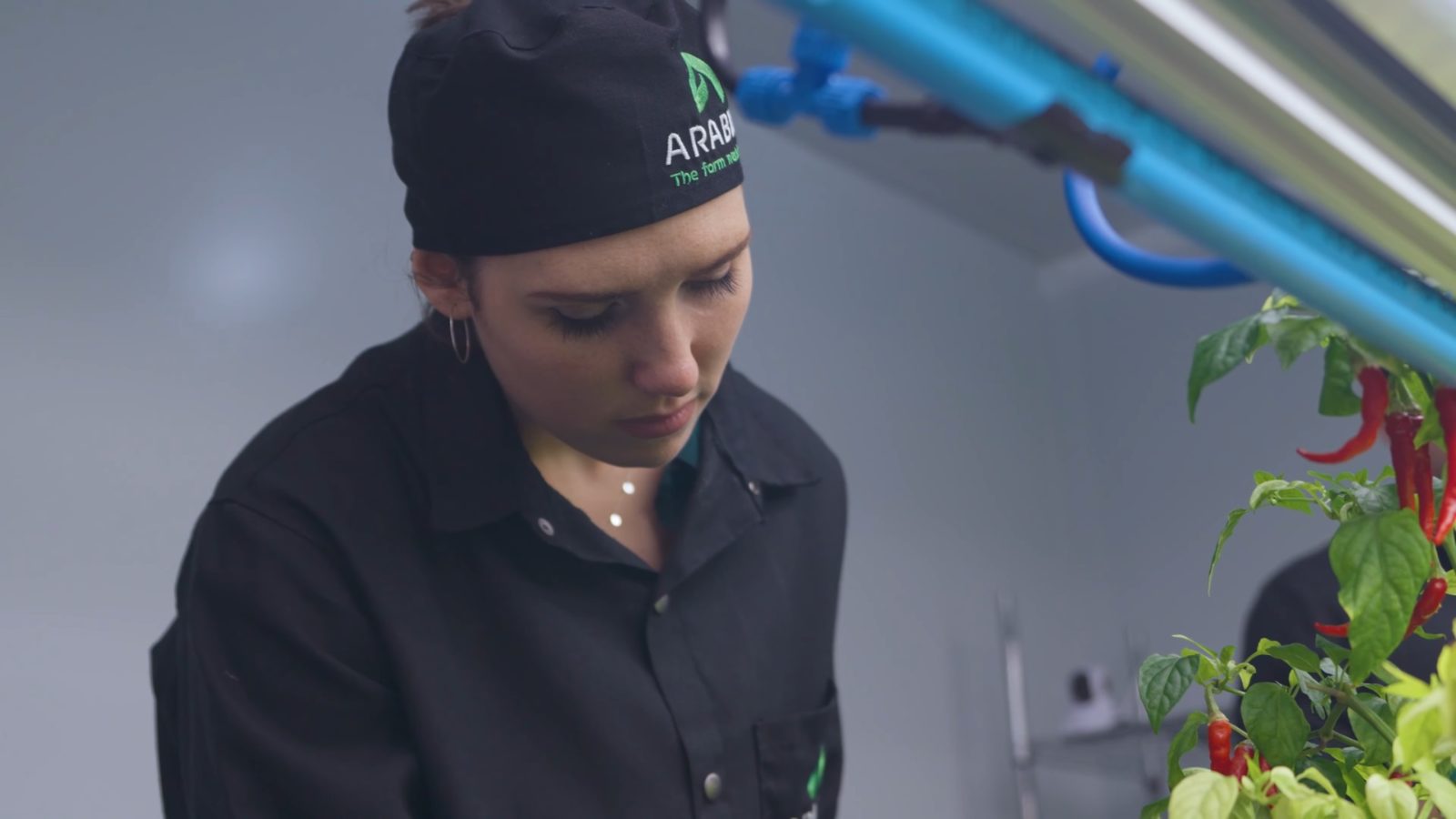 Still from the Arable Grow film
