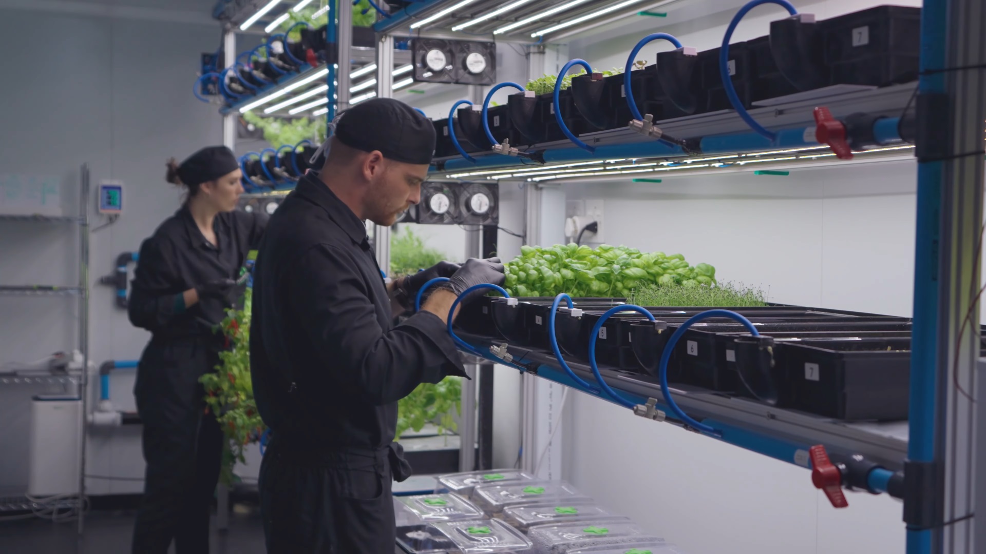 Arable Grow — still 3